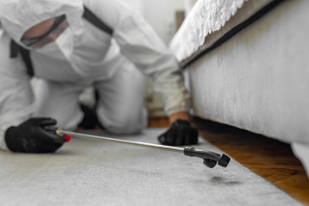 Professional Bed Bug Control technician working in Geneseo, IL