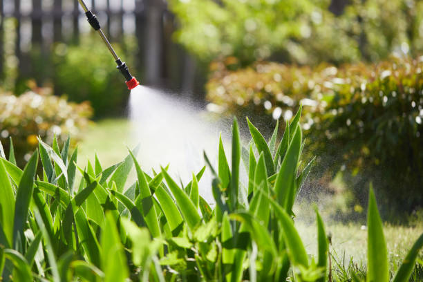 24/7 Emergency Bed Bug Control experts in Geneseo, IL